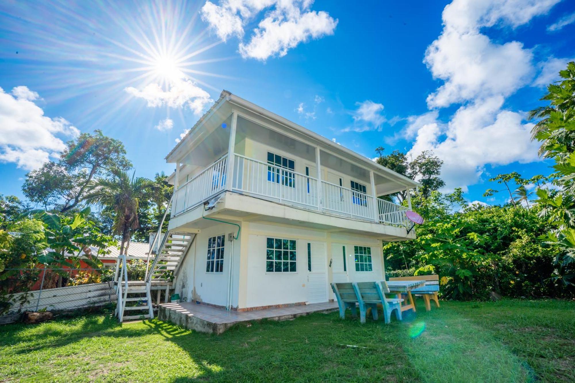 Posada Mango Tree Bahia Suroeste Ngoại thất bức ảnh