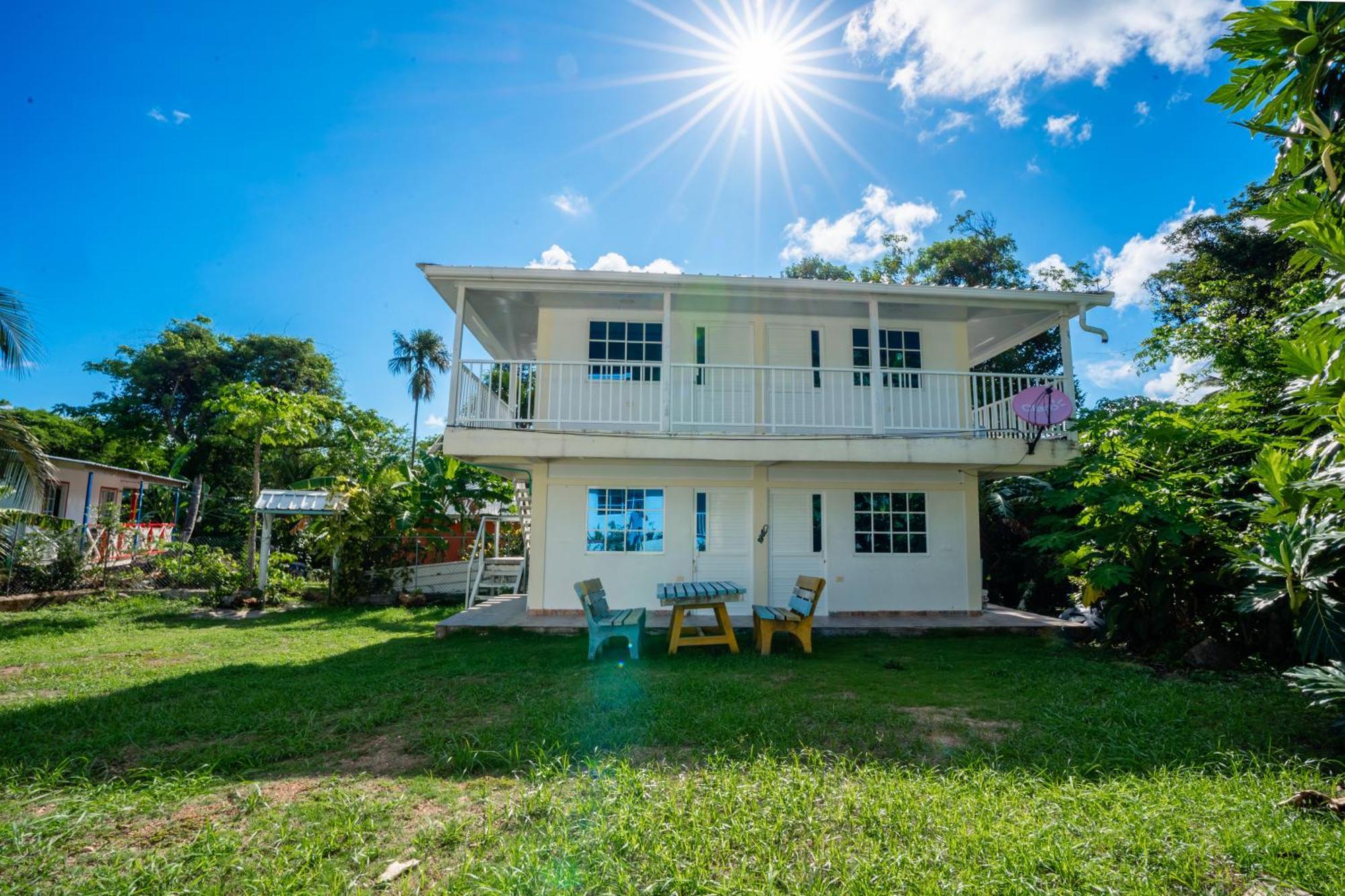 Posada Mango Tree Bahia Suroeste Ngoại thất bức ảnh